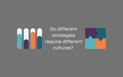 Do different strategies require different cultures?