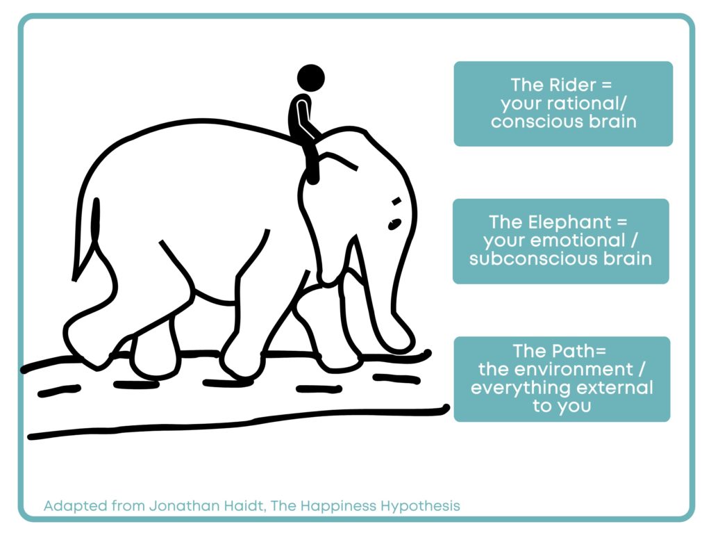inforgraphic of the elephant path rider model for change