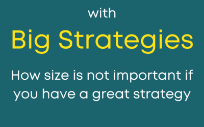 Small Companies with Big Strategies: how size is not important if you have a great strategy