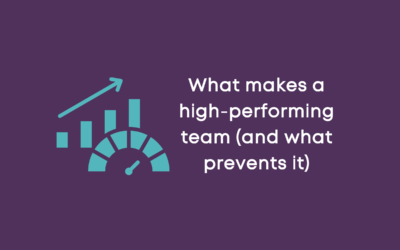 What makes a high performing team (and what prevents it)