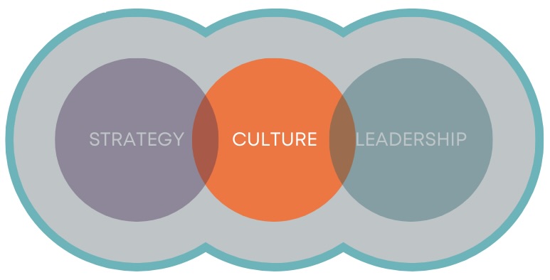 Infographic of culture