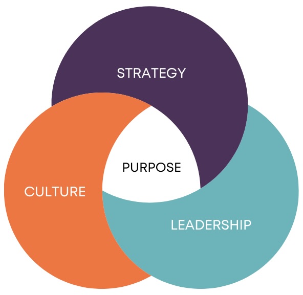 Infographic of culture, leadership and strategy